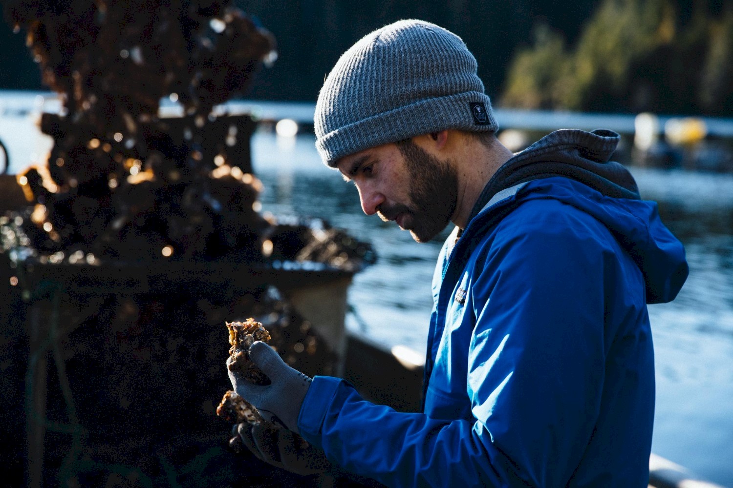 Clayoquot Oysters