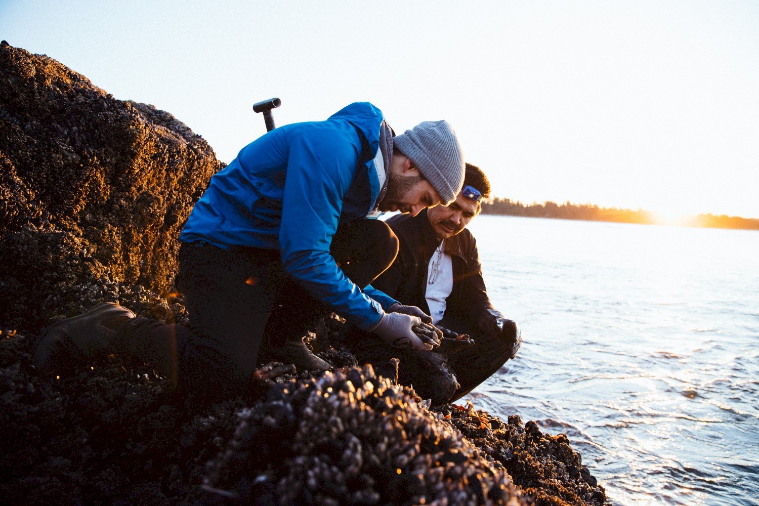 Foraging with Chef Carmen - Jeremy Koreski