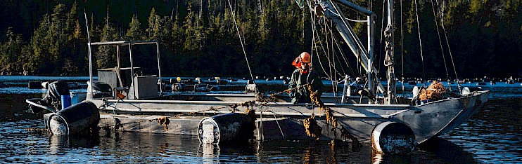 Pulling up the lines by Jeremy Koreski