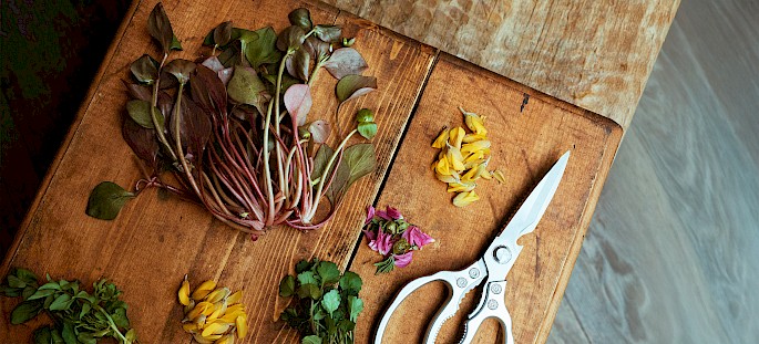 A wooden cutting board with a pair of scissors and an assortment of fresh herbs and flower petals, including green leaves and yellow and pink petals.