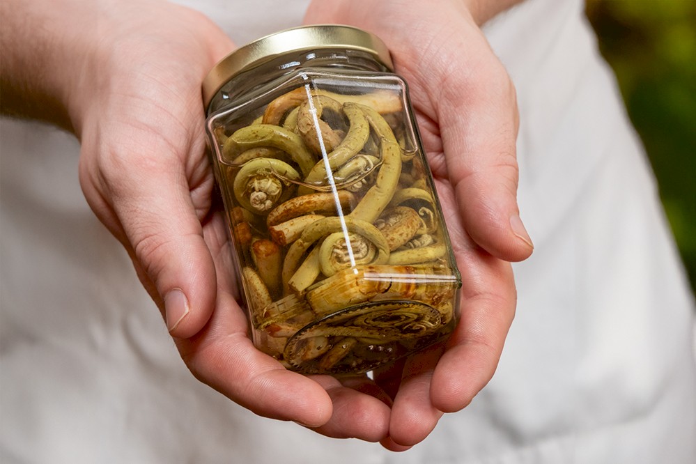 Hands holding a clear glass jar filled with pickled fiddlehead ferns, sealed with a gold-colored lid.
