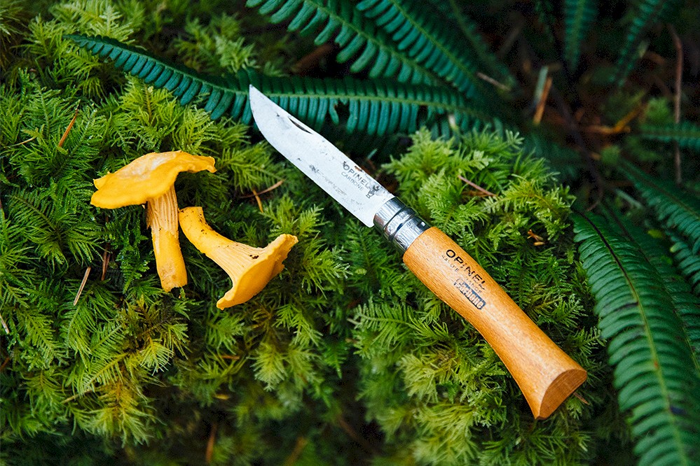 A wooden-handled Opinel knife is open and placed on lush green moss next to two bright chantarelle mushrooms. Fern leaves are visible in the background.